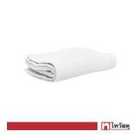 ราคา ผ้าขนหนูเช็ดหน้า KASSA HOME รุ่น HE710C WT ขนาด 34 x 34 ซม สีขาว (16318227126)