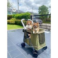 ราคา รถเข็นหมา รถเข็นแมว รถเข็นสัตว์เลี้ยงขนาดใหญ่ รถเข็นสุนัขคันใหญ่ รถเข็นสุนัข TONGBA LD07 พับได้ กล่องนั่งขนาดใหญ่ รถเข็นหมาราคาถูก (12900576763)