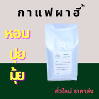 ราคา กาแฟอาราบิก้าดอยผาฮี้ 500 กรัม (17627546669)