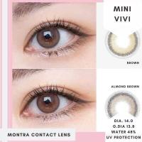 ราคา คอนแทคเลนส์ ขนาดมินิ Vivi Montra (15372300642)