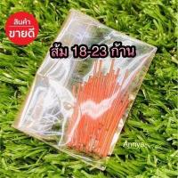 ราคา ก้านต่างหู ตุ้มหู พลาสติก กันหูตัน ใส่แล้วไม่คัน ก้านพลาสติกใส ก้านกระเทียม (10480606676)