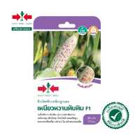 ราคา East West Seed เมล็ดพันธุ์ข้าวโพดข้าวเหนียวF1เหนียวหวานทับทิม Waxy corn เมล็ดพันธุ์ ผักสวนครัว ตราศรแดง (18985800677)