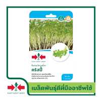 ราคา East West Seed เมล็ดพันธุ์ต้นอ่อนโตวเหมี่ยว คริสปี้ เมล็ดพันธุ์ผัก เมล็ดพันธุ์ ผักสวนครัว ตราศรแดง (16837336664)