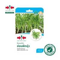 ราคา East West Seed เมล็ดพันธุ์ต้นอ่อนผักบุ้ง อ่อนผักบุ้ง Kangkong เมล็ดพันธุ์ ผักสวนครัว ตราศรแดง (18284392610)