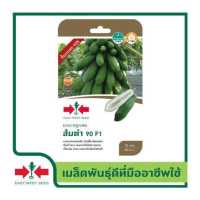 ราคา East West Seed เมล็ดพันธุ์มะละกอ Papaya seeds ส้มตำ 90 F1 เมล็ดพันธุ์ผัก เมล็ดพันธุ์ ผักสวนครัว มะละกอ ตราศรแดง (15316425853)