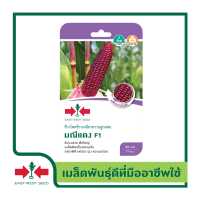 ราคา East West Seed เมล็ดพันธุ์ ข้าวโพดข้าวเหนียวหวานลูกผสม Waxy Corn มณีแดง F1 เมล็ดพันธุ์ผัก เมล็ดพันธุ์ ผักสวนครัว ตราศรแดง (16319792260)