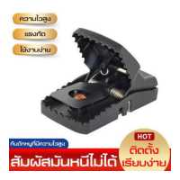 ราคา MJY กับดักหนู mousetrap ที่ดักหนูแบบสปริง กำจัดหนู อุปกรณ์ดักหนู ที่จับหนู (9067692352)
