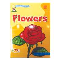 ราคา Kid Plus สมุดคำศัพท์ภาพภาษาอังกฤษ Picture Wonderland 16 Book (19762918464)