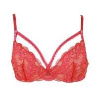 ราคา Annebra บราไร้ฟอง ผ้าลูกไม้ซีทรู มีโครง Sheer Lace Bra รุ่น AB1 510 สีชมพูเข้ม สีม่วงเข้ม (17237776866)