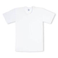 ราคา แท้ เสื้อยืดตราห่านคู่ คอกลมสีพื้น Size 34 46 นิ้ว ใส่ได้ทั้งชายและหญิง (9881265612)