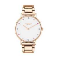 ราคา Coach Perry CO14503938 นาฬิกาผู้หญิง (14854058267)