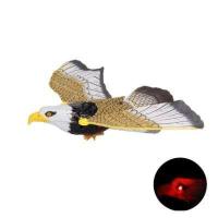 ราคา สินค้าในประเทศ นกอินทรีย์ ไล่นก นกเหยี่ยว นกแก้ว นกมีเสียง เหยี่ยวไล่นก สินค้าพร้อมส่ง ทุกวัน (11095129764)