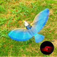 ราคา สินค้าในประเทศ นกอินทรีย์ ไล่นก นกเหยี่ยว นกแก้ว นกมีเสียง เหยี่ยวไล่นก สินค้าพร้อมส่ง ทุกวัน (12658288774)