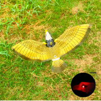 ราคา สินค้าในประเทศ นกอินทรีย์ ไล่นก นกเหยี่ยว นกแก้ว นกมีเสียง เหยี่ยวไล่นก สินค้าพร้อมส่ง ทุกวัน (12658288775)