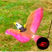 ราคา สินค้าในประเทศ นกอินทรีย์ ไล่นก นกเหยี่ยว นกแก้ว นกมีเสียง เหยี่ยวไล่นก สินค้าพร้อมส่ง ทุกวัน (12658288773)