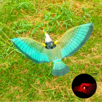 ราคา สินค้าในประเทศ นกอินทรีย์ ไล่นก นกเหยี่ยว นกแก้ว นกมีเสียง เหยี่ยวไล่นก สินค้าพร้อมส่ง ทุกวัน (12658288776)