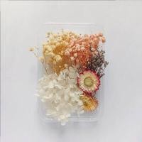 ราคา ดอกไม้แห้งตามธรรมชาติแบบทำมือแหวนจี้เรซิ่นอีพ็อกซี่พืชแห้งเครื่องประดับเคสโทรศัพท์มือถือเทียนทำอุปกรณ์เสริม (17379230395)