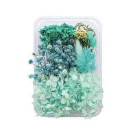 ราคา ดอกไม้แห้งตามธรรมชาติแบบทำมือแหวนจี้เรซิ่นอีพ็อกซี่พืชแห้งเครื่องประดับเคสโทรศัพท์มือถือเทียนทำอุปกรณ์เสริม (17379230392)