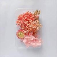 ราคา ดอกไม้แห้งตามธรรมชาติแบบทำมือแหวนจี้เรซิ่นอีพ็อกซี่พืชแห้งเครื่องประดับเคสโทรศัพท์มือถือเทียนทำอุปกรณ์เสริม (17379230397)