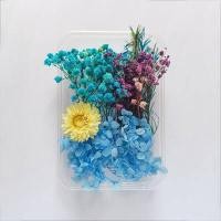 ราคา ดอกไม้แห้งตามธรรมชาติแบบทำมือแหวนจี้เรซิ่นอีพ็อกซี่พืชแห้งเครื่องประดับเคสโทรศัพท์มือถือเทียนทำอุปกรณ์เสริม (17379230405)