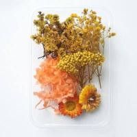 ราคา ดอกไม้แห้งตามธรรมชาติแบบทำมือแหวนจี้เรซิ่นอีพ็อกซี่พืชแห้งเครื่องประดับเคสโทรศัพท์มือถือเทียนทำอุปกรณ์เสริม (17379230401)