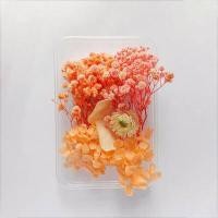 ราคา ดอกไม้แห้งตามธรรมชาติแบบทำมือแหวนจี้เรซิ่นอีพ็อกซี่พืชแห้งเครื่องประดับเคสโทรศัพท์มือถือเทียนทำอุปกรณ์เสริม (17379230400)