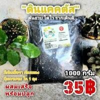 ราคา สูตร 1 ดินปลูกแคคตัส ขนาด 1กิโล วัสดุปลูก แคคตัส กระบองเพชร ยกเว้นไลทอป (15628694323)