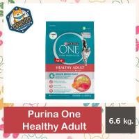 ราคา 6 6 kg Purina One Healthy Adult With Real Salmon อาหารแมวเพียวริน่าวัน แซลมอน สูตรแมวโต (15227128314)