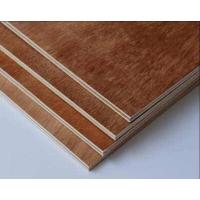 ราคา ไม้อัด 120x40 cm เกรดเฟอร์นิเจอร์ หนา 4 6 10 15 มิล ไม้อัดยาง ไม้แผ่นใหญ่ทำผนัง ไม้สำหรับงานเฟอร์นิเจอร์ DIY (8710736316)