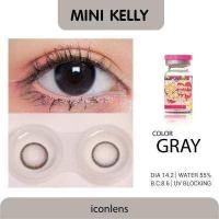 ราคา คอนแทคเลนส์ คิตตี้ คาวาอิ mini kelly gray (16813575285)