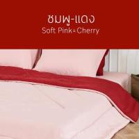 ราคา SANTA ผ้านวม ผ้าห่ม นุ่ม นอนสบาย Premium supersoft สำหรับเตียง 3 5 5 6 ฟุต ผ้านุ่ม นอนฟิน (9604162090)