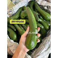 ราคา พร้อมส่งผลสด อโวคาโดTA21 034 2 3 ลูกโล 1 kg (19072641434)