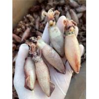 ราคา หมึกกะตอยต้ม ปลาหมึกกะตอยต้ม ปลาหมึกแห้ง หมึกแห้งราคาถูก ขนาด 100 กรัม ขนาดทดลองทาน (17079811317)