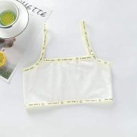 ราคา พร้อมส่งจ้า ชุดชั้นในเด็กลาย เสื้อซับในเด็ก ครึ่งตัว ผ้าฝ้ายบางลายการ์ตูน น่ารักใส่ได้ 8 12 ขวบ (16829264254)