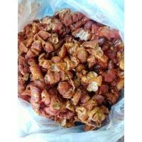 ราคา มะขามเปียกแกะ เนื้อล้วน แกะเองขายเอง ปริมาณ 500 กรัม (12463908826)