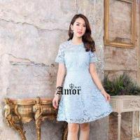 ราคา ชุดเดรสลูกไม้ เดรสงานแต่ง ชุดไปงาน ชุดออกงาน เดรสสีชมพูนู้ด เดรสสีฟ้า เดรสสั้น เดรสลูกไม้ ฉลุ เดรสสีโอรส ชุดทำงาน งานป้าย AMOR 213 (12670105896)