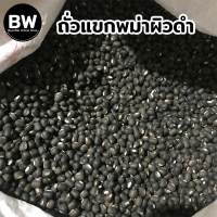 ราคา BeanWin ถั่วแขกพม่าผิวดำ สำหรับเพาะถั่วงอก 1 กิโล อัตรางอก99 99 สำหรับน้ำวน ถั่วงอก ถั่วเขียว ถั่วแขก ขายถั่วงอก ฮอร์โมนถั่วงอก (17441659846)
