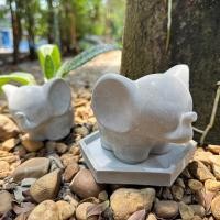 ราคา กระถางต้นไม้ปูนเปลือยมินิมอล น้อนช้าง พร้อมฐานรอง (18465528675)