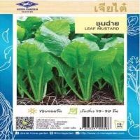 ราคา เมล็ดพันธุ์ ชุดผักสำหรับทำ ผัดผัก น้ำพริก เจียไต๋ ตราเครื่องบิน ผักสวนครัว เมล็ดผัก เมล็ดพันธุ์พืช เมล็ดผักสวนครัว เมล็ดพันธุ์ผัก AK (11391490635)