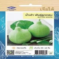 ราคา เมล็ดพันธุ์ ชุดผักสำหรับทำ ผัดผัก น้ำพริก เจียไต๋ ตราเครื่องบิน ผักสวนครัว เมล็ดผัก เมล็ดพันธุ์พืช เมล็ดผักสวนครัว เมล็ดพันธุ์ผัก AK (11391490637)