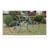 ราคา จักรยานเสือหมอบ Challenger Retro Vintage Road bike Cromo frame Limited Edition ครบรอบ 30 ปี (18325806618)