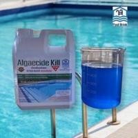 ราคา น้ำยาป้องกันและกำจัดตะไคร่น้ำ สระว่ายน้ำ ชนิดเข้มข้น Poolbrink Algaecide Kill Plus ขนาดบรรจุ 1 ลิตร แกลลอน (16226365122)