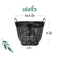 ราคา เข่งจิ๋ว 10 5นิ้ว เข่งพลาสติก เข่งปลูกต้นไม้ เข่งผลไม้ เข่งกลม เข่งใส่ทุเรียน เข่งทุเรียน ตะกร้าพลาสติก ตะกร้า หนา แข็งแรง (17378761325)
