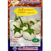 ราคา เมล็ดมะเขือเปราะ เจ้าพระยา มะเขือจาน มะเชือลูกรักบี้ น้ำทิพย์หยด มะเขือไข่เต่า (11090519251)