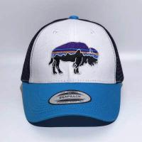 ราคา Patagonia หมวกเบสบอล Amazon Cap หมวกตาข่าย Trucker (15364517059)