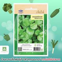 ราคา เมล็ดพันธุ์ วอเตอร์เครส แท้ 500เมล็ด ผักสลัดน้ำ 100 200 เมล็ด watercress สลัดน้ำ (18885884720)