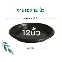 ราคา จานรองกระถางต้นไม้ ถาดรองกระถางต้นไม้ จานรองกระถาง จานรองพลาสติก สีดำ 12 นิ้ว 12 นิ้ว (16525896801)