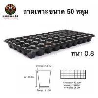 ราคา ถาดเพาะกล้า 32หลุม 50หลุม 72หลุม 105หลุม 128หลุม 200หลุม หนา 0 8 มม ถาดเพาะชำ ถาดเพาะต้นกล้า ถาดเพาะต้นอ่อน ถาดเพาะเมล็ด ถาดเพาะ ถาดเพาะปลูกผัก (19502165229)