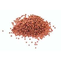 ราคา อาหารปลาเสือสุมาตรา Tiger Barb (11493357599)