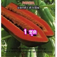 ราคา เมล็ดมะละกอ แขกดำดำเนิน 30 เมล็ด เนื้อสีแดง หวาน (8765663878)